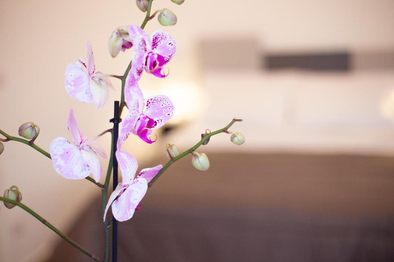 Casapaola B&B Rooms Acireale Luaran gambar